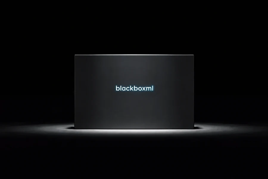 BlackBoxML project visual